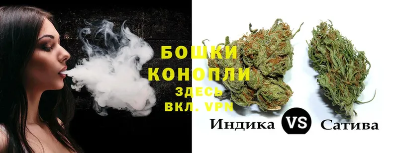 МАРИХУАНА White Widow  Семикаракорск 